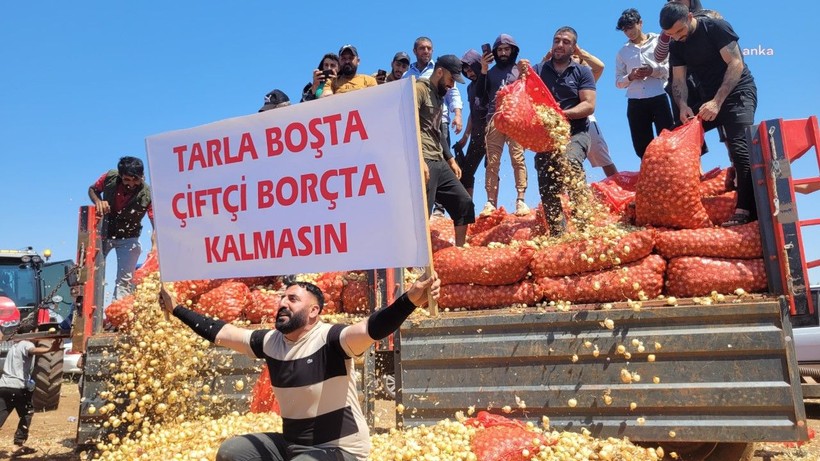 Çiftçiler soğanları dökerek eylem yaptı: 'Bizi terörist ilan ediyorsunuz, üreticiyiz' - Resim: 8