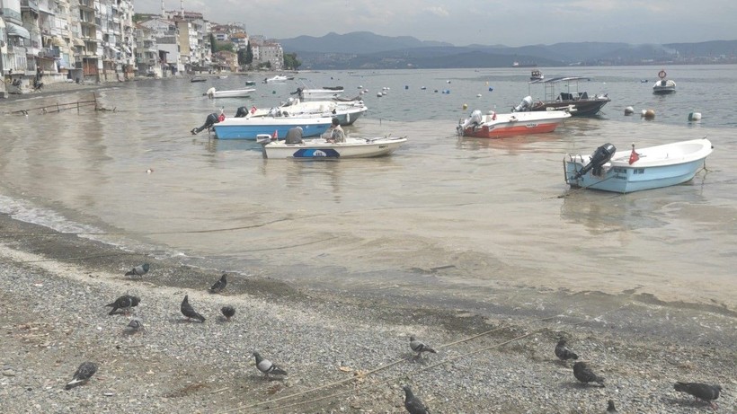 Yazlık bölgede müsilaj görüldü - Resim: 4