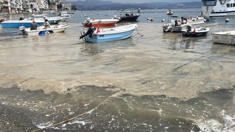 Yazlık bölgede müsilaj görüldü - Resim: 5