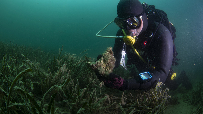 Çanakkale'de tehlike büyüyor - Resim : 2