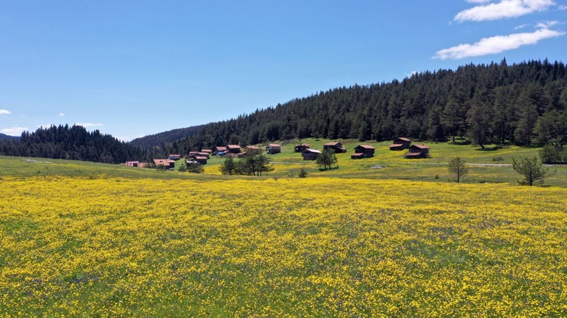 Kastamonu'da görsel şölen başladı - Resim: 15