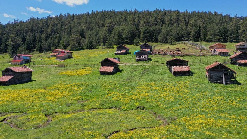 Kastamonu'da görsel şölen başladı - Resim: 21