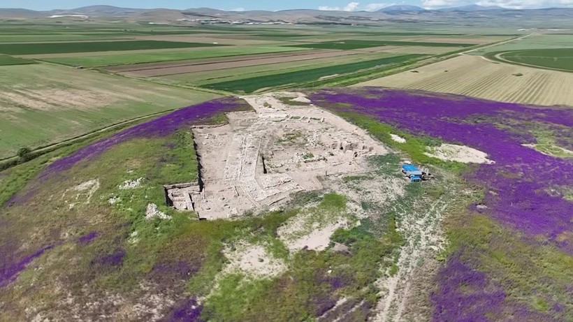 Kazı alanı mor bir halıya büründü - Resim: 2