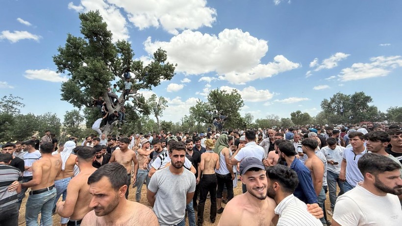 Diyarbakır'da 300 yıllık gelenek: 'Nedenini dedelerimiz de bilmiyor, artık bitmeli' - Resim: 6
