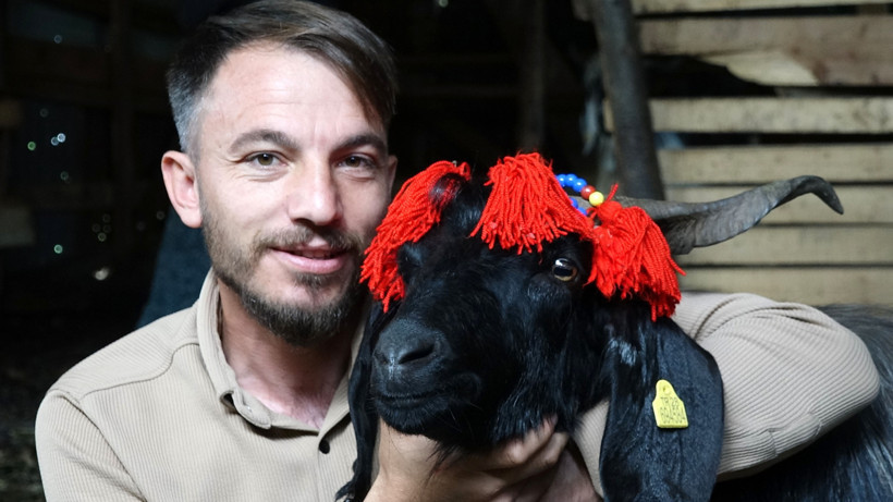 Yeni fenomen Trabzon'dan: Keçi inadı hayatta tuttu - Resim : 3