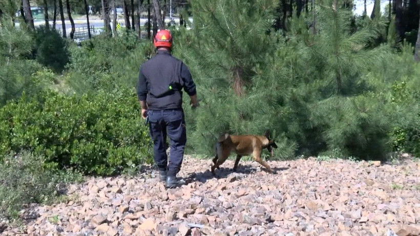 Şaban Aksoy’u arama çalışmalarında 2'nci gün - Resim: 5