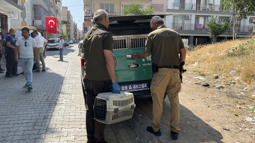 Çöp evden kaplumbağa bile çıktı - Resim: 5