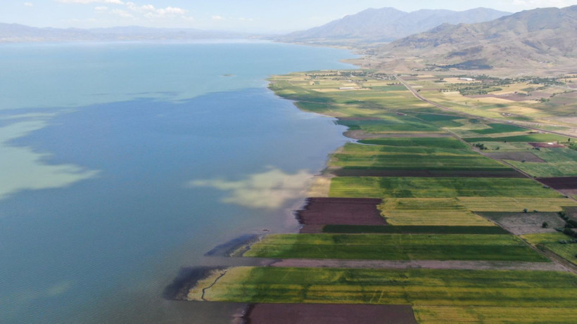 Baraj yanında çiftçilik bu sene de hüsranla sonuçlandı - Resim: 4