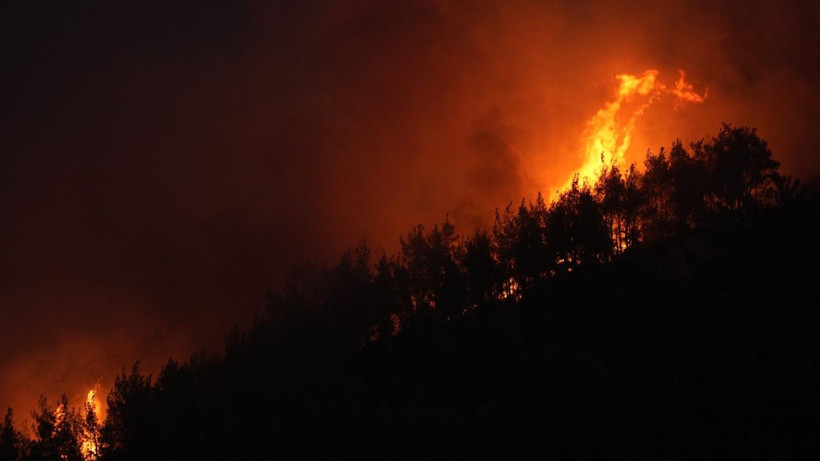İzmir'in beş ilçesinde yangın - Resim: 29