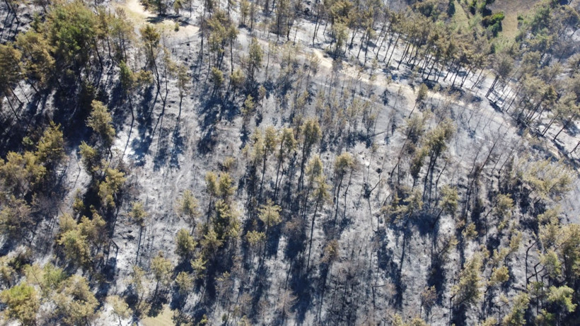 Adana'da 14 saatlik yangının acı bilançosu - Resim: 1