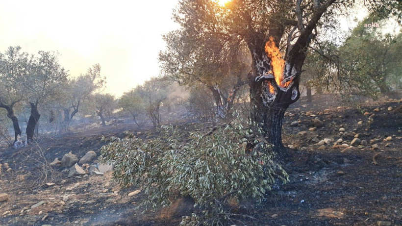 Yangının ortasında yürek burkan sözler: 'Her şey tekrardan bitti' - Resim: 12