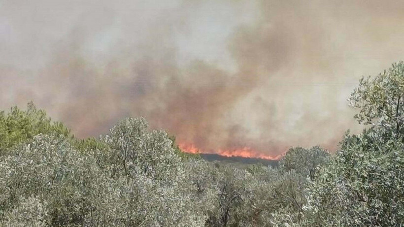 Çeşme’de orman yangını - Resim: 10
