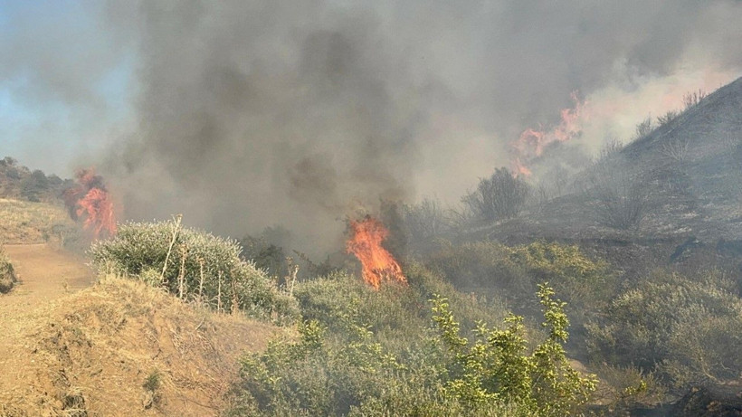 Manisa’da başlayıp İzmir’e ulaşan yangın kontrol altında - Resim: 6