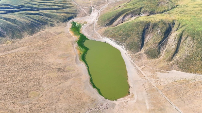 Karakteristik özelliğini kaybetmeye başladı: Nemrut'un kalbi kuruyor - Resim: 4