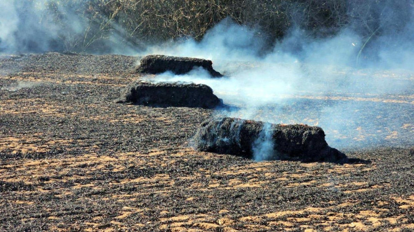 Edirne'de yangın kâbusu: Sınıra giden yol bir süre kapalı kaldı - Resim: 26