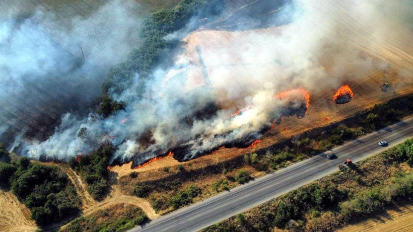 Edirne'de yangın kâbusu: Sınıra giden yol bir süre kapalı kaldı - Resim: 29