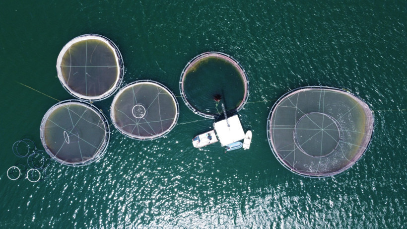 Denizi olmayan ilden dünyaya somon ve alabalık ihraç ediyorlar - Resim : 1