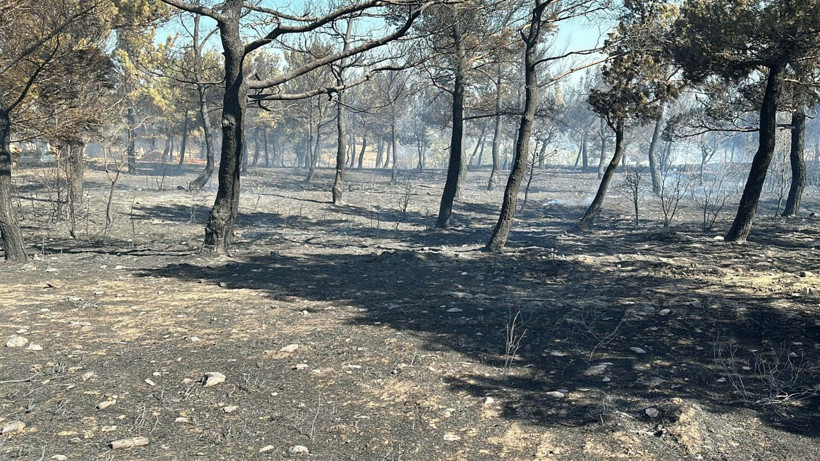 Çanakkale'deki büyük yangından kahreden fotoğraflar - Resim: 18