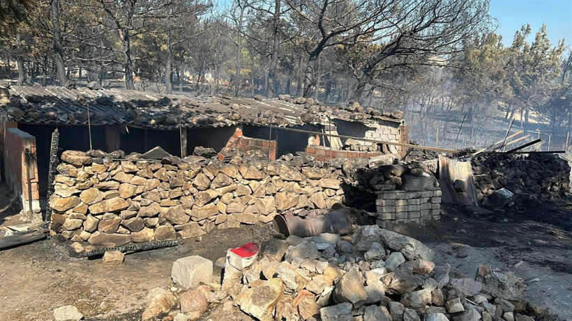Çanakkale'deki büyük yangından kahreden fotoğraflar - Resim: 20