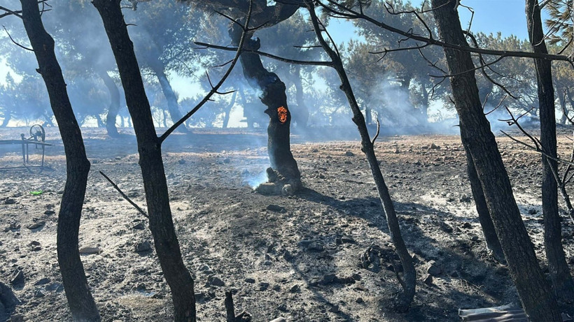 Çanakkale'deki büyük yangından kahreden fotoğraflar - Resim: 21