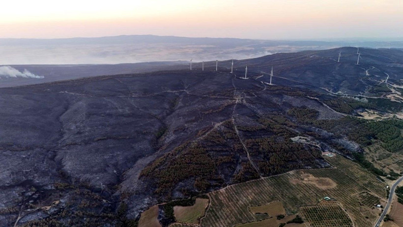Tekirdağ yangınından acı fotoğraflar: Orman yanarak siyaha büründü - Resim: 1