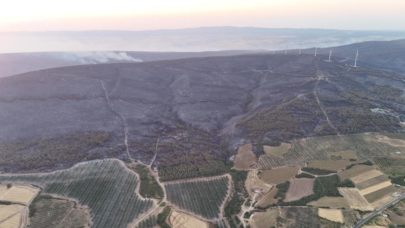Tekirdağ yangınından acı fotoğraflar: Orman yanarak siyaha büründü - Resim: 2