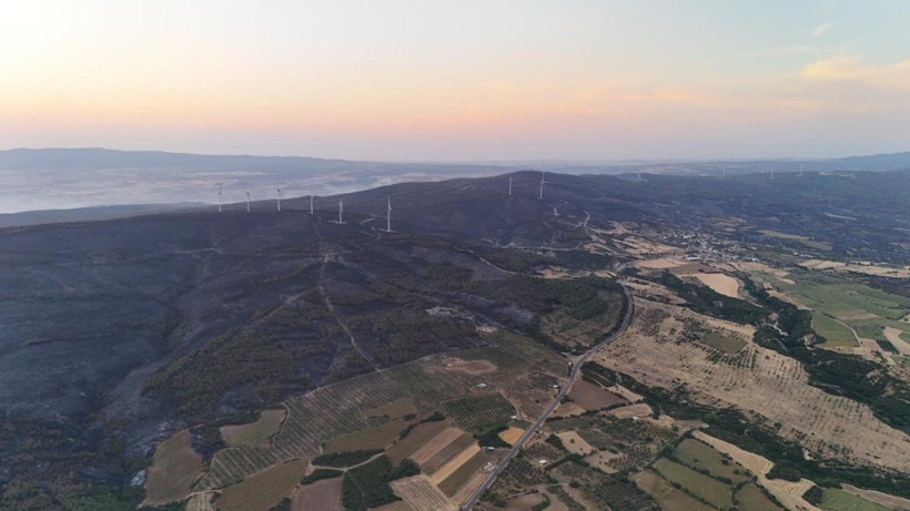 Tekirdağ yangınından acı fotoğraflar: Orman yanarak siyaha büründü - Resim: 4