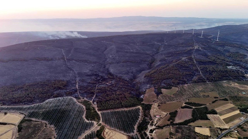 Tekirdağ yangınından acı fotoğraflar: Orman yanarak siyaha büründü - Resim: 5
