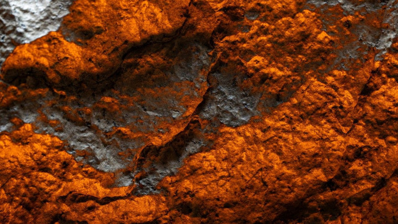 Mars’tan geldi, rekor fiyata satıldı - Resim: 1