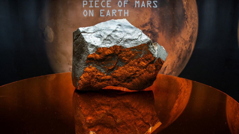 Mars’tan geldi, rekor fiyata satıldı - Resim: 2