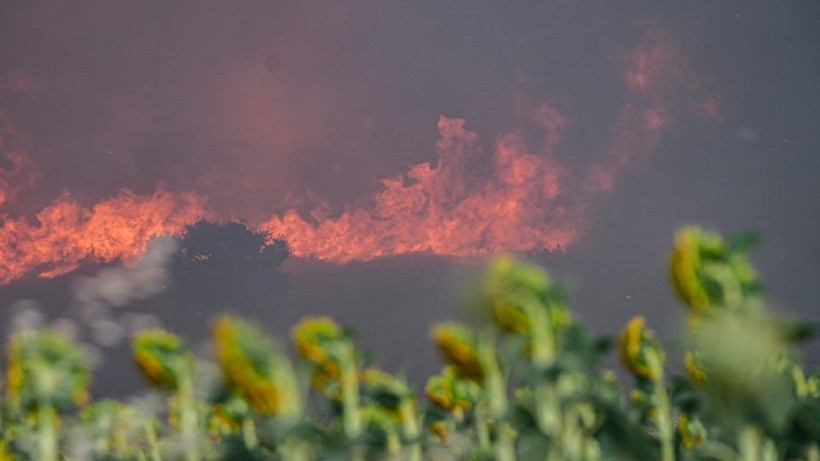 Çanakkale’ye sıçrayan yangın hızla ilerliyor - Resim: 32