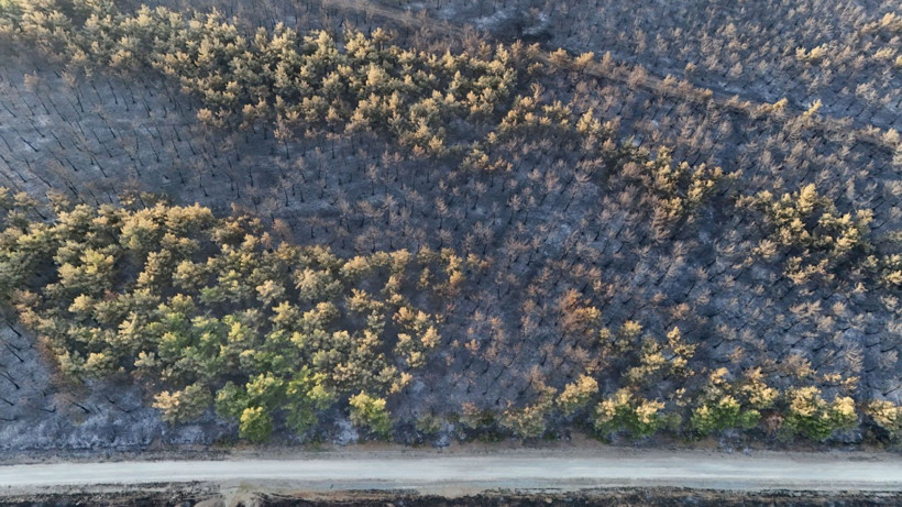 Tekirdağ'daki orman yangını kontrol altına alındı - Resim: 6