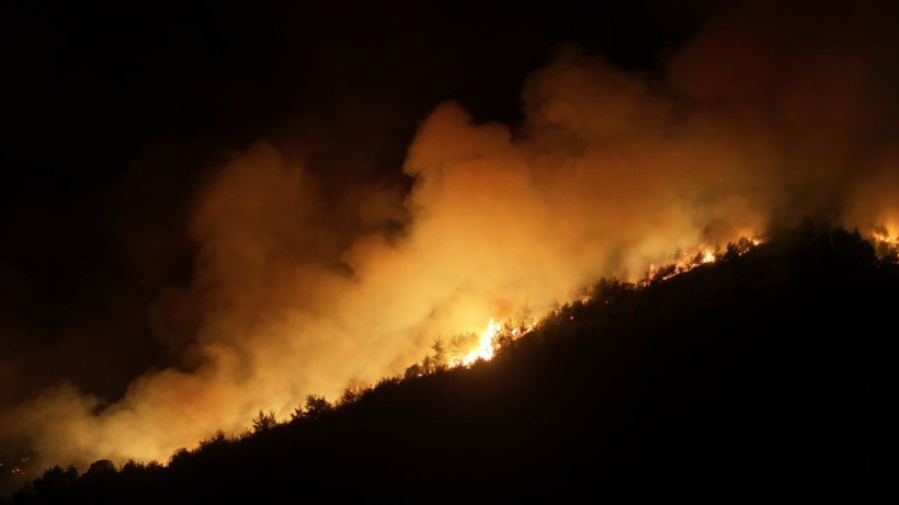 Sakarya'da başlayan yangın, Bilecik'te ilçe merkezine ilerliyor - Resim: 60