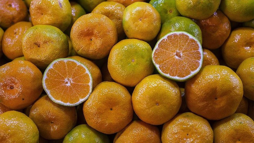 Beslenme uzmanı açıkladı: Kahvaltıda sakın yemeyin - Resim: 7
