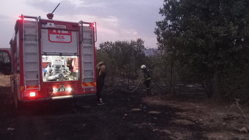 Diyarbakır'da örtü yangını - Resim: 2