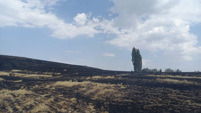 Trafo yangın çıkardı, arazi kül oldu - Resim: 1