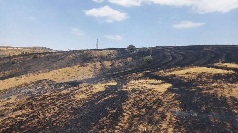 Trafo yangın çıkardı, arazi kül oldu - Resim: 2