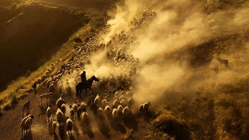 Mest eden görüntüler: Hollywood değil, Bitlis - Resim: 2