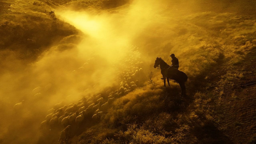 Mest eden görüntüler: Hollywood değil, Bitlis - Resim: 4