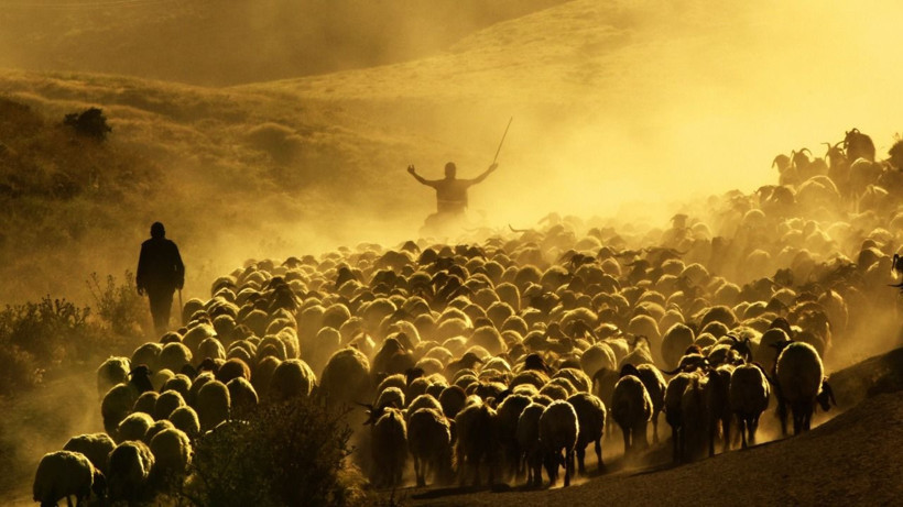 Mest eden görüntüler: Hollywood değil, Bitlis - Resim: 6