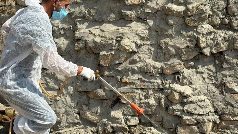 Akrepler köyü istila etti - Resim: 1