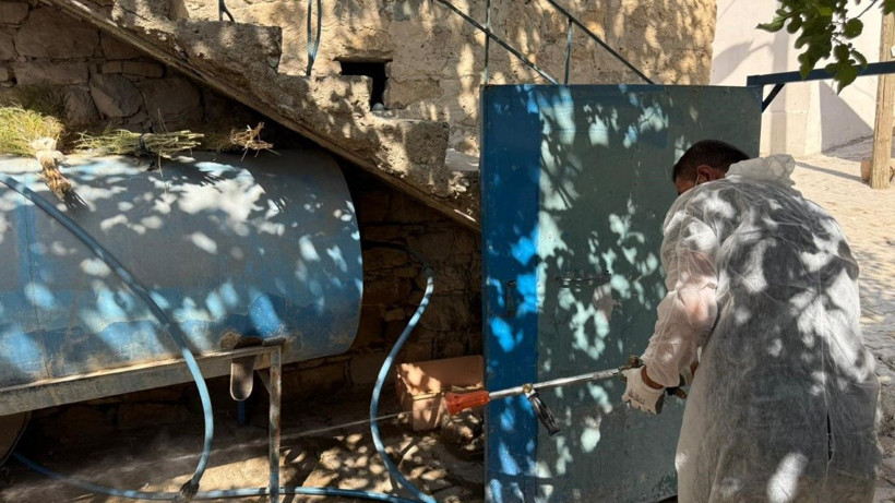 Akrepler köyü istila etti - Resim: 2