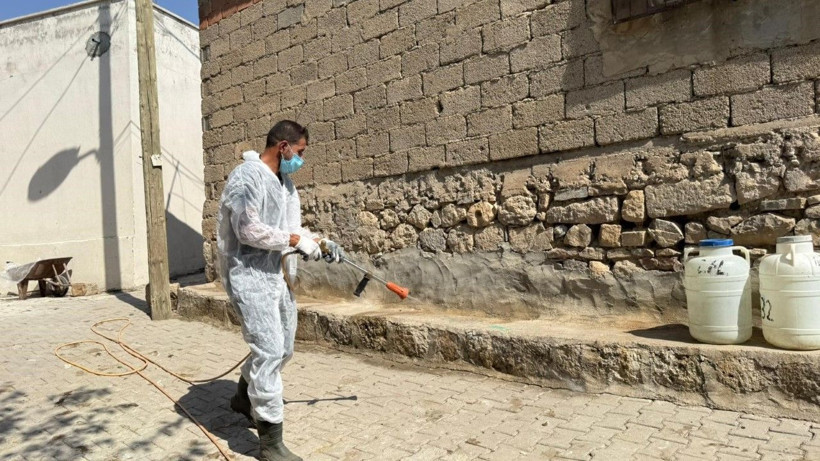 Akrepler köyü istila etti - Resim: 4