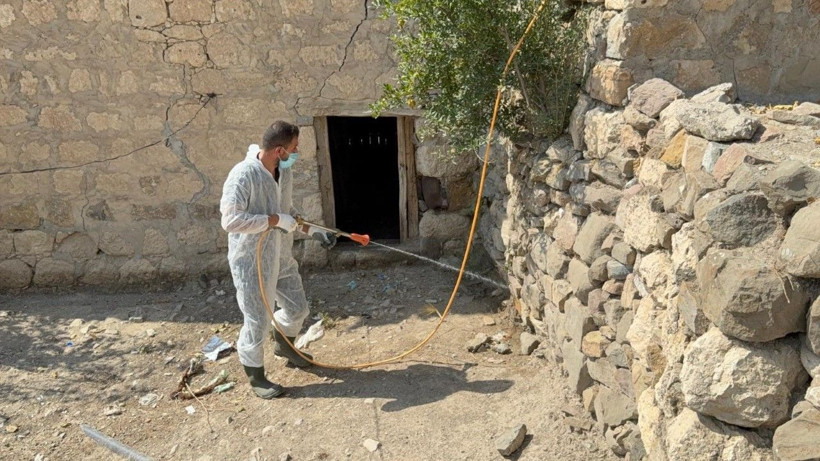 Akrepler köyü istila etti - Resim: 5