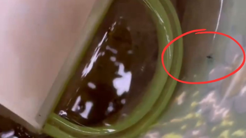 Çin'i sarsan yeni salgın: 7 bin vaka kayda geçti, önlemler arttı - Resim: 7