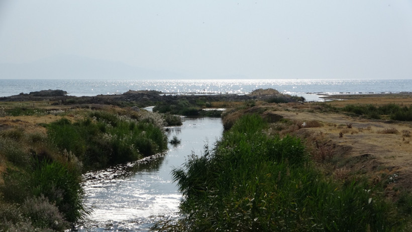 Van Gölü'nün röntgeni çekildi: 'Canlı yaşamı bitecek' - Resim : 1