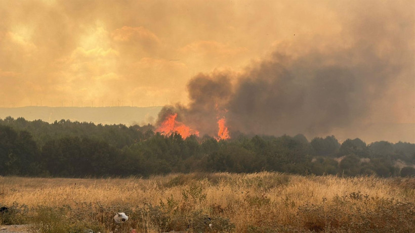 Gökyüzü resmen karardı: Çanakkale'de orman yangını - Resim: 14