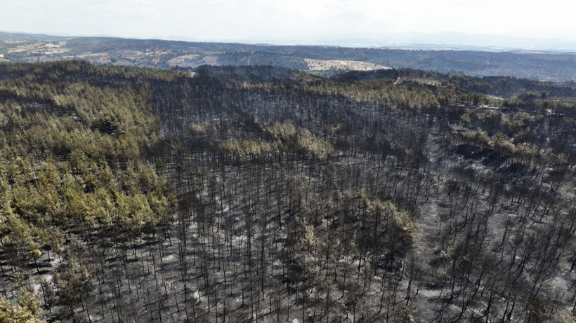 Çanakkale'de yangın söndü, hasar büyük - Resim: 5