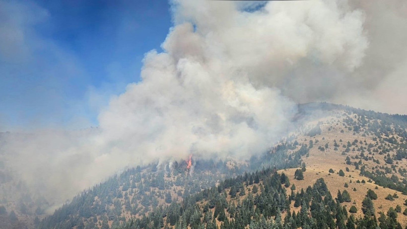 Kahramanmaraş’ta orman yangını - Resim: 4