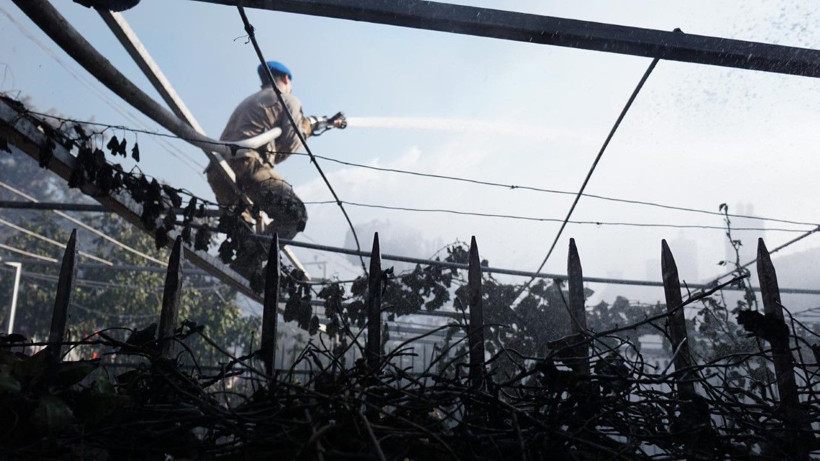 Çanakkale yine yanıyor: Binlerce kişi tahliye edildi - Resim: 29